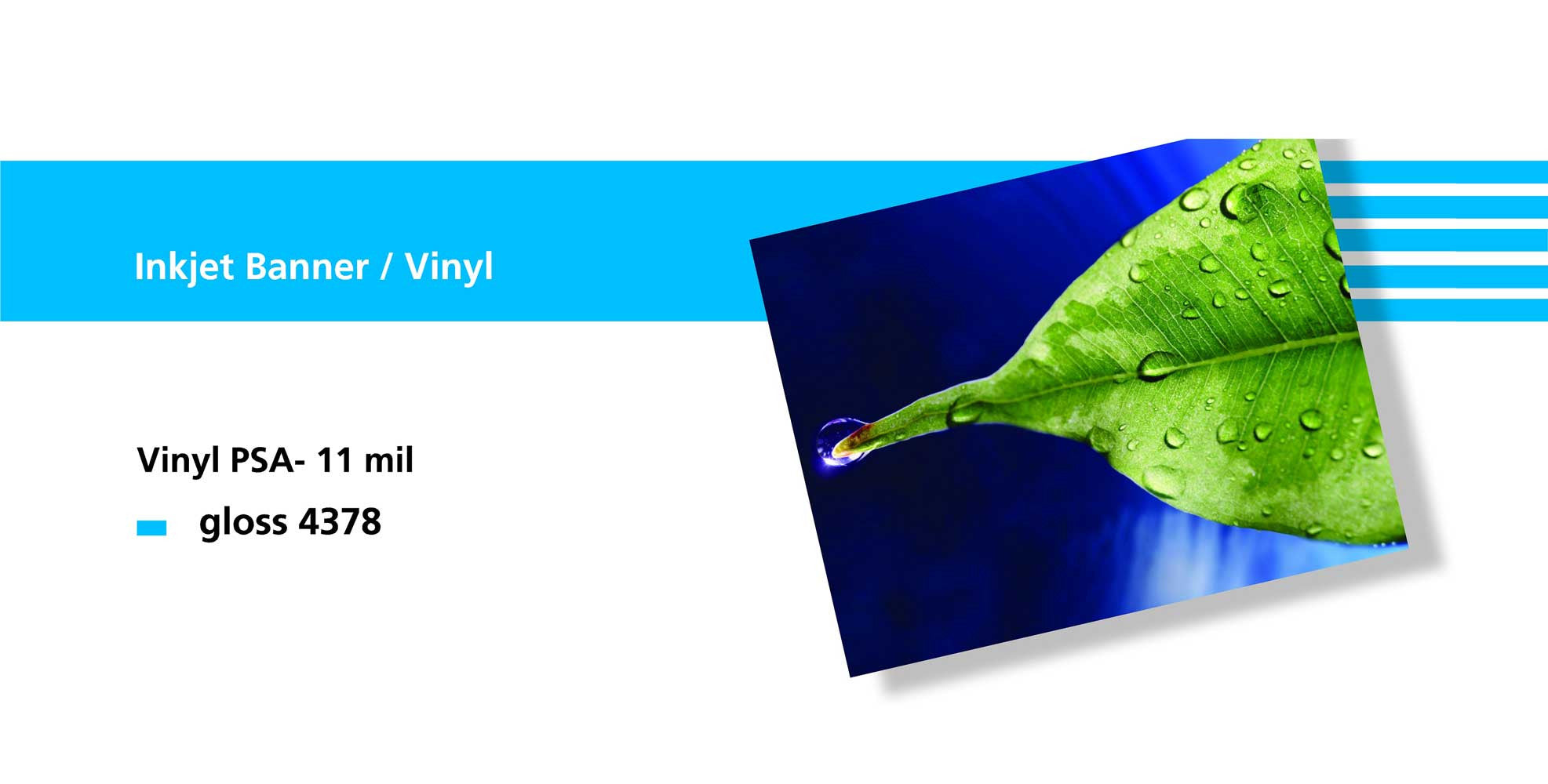 Sihl 4378 Vinyl Gloss PSA - 11 Mil
